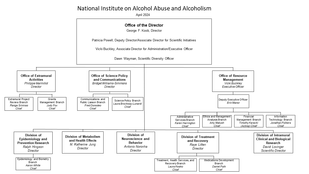 NIAAA Organizational Chart June 2024