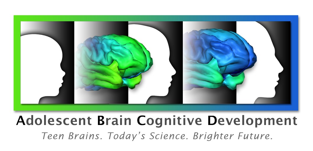 Recruitment begins for landmark study of adolescent brain development ...