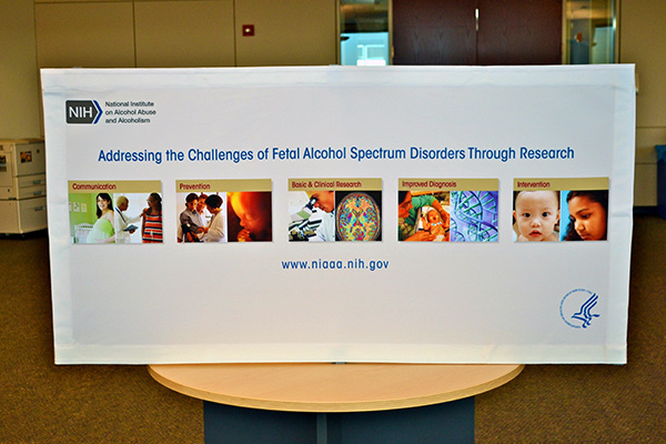An exhibit on Addressing the Challenges of Fetal Alcohol Syndrome