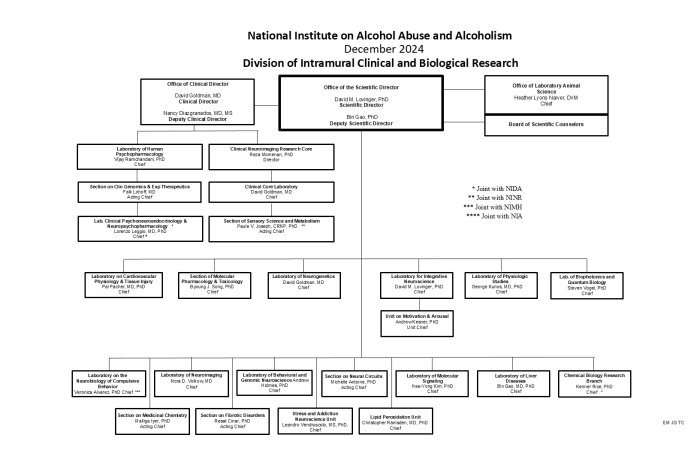 NIAAA DICBR Org Chart  May 2024