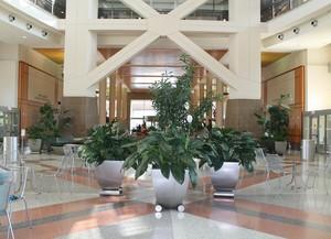 Clinical Research Center Atrium